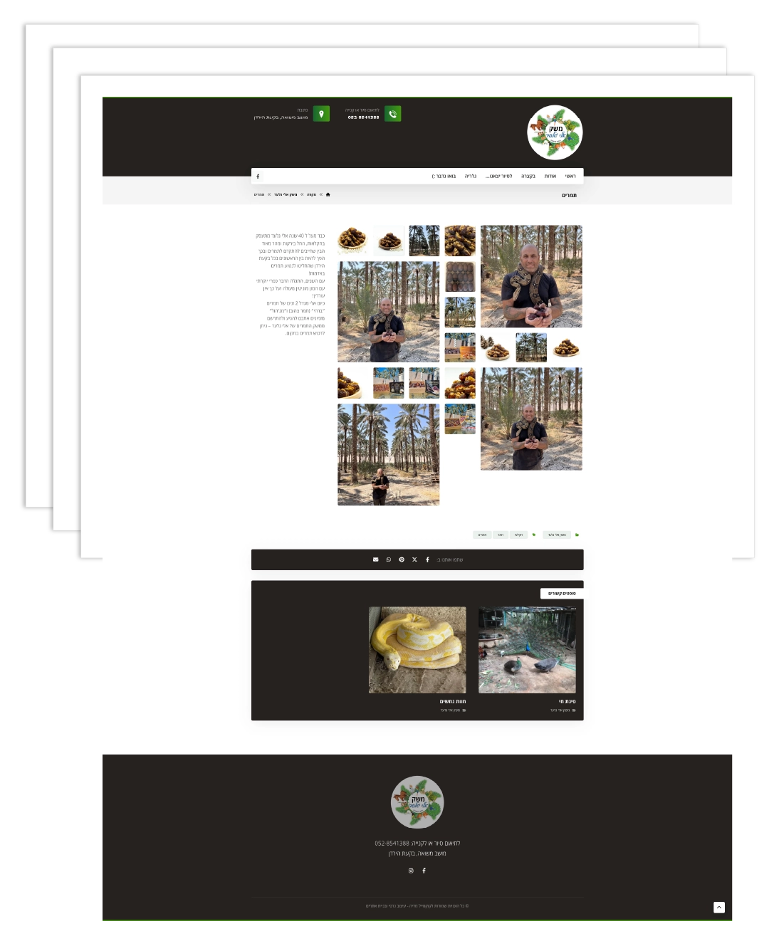 בניית אתר תדמית - משק אלי גלעד