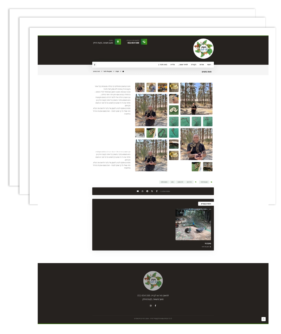 בניית אתר תדמית - משק אלי גלעד